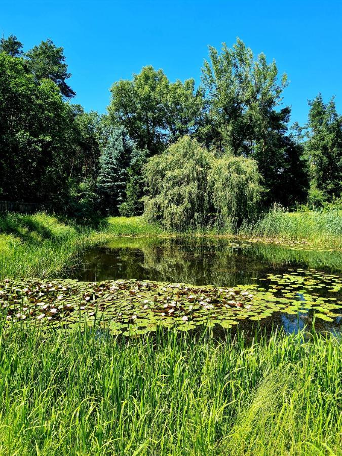 Wrzosowe Siedlisko Βίλα Czosnów Εξωτερικό φωτογραφία